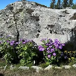 Liaplassen Mountain Hébergement de vacances
