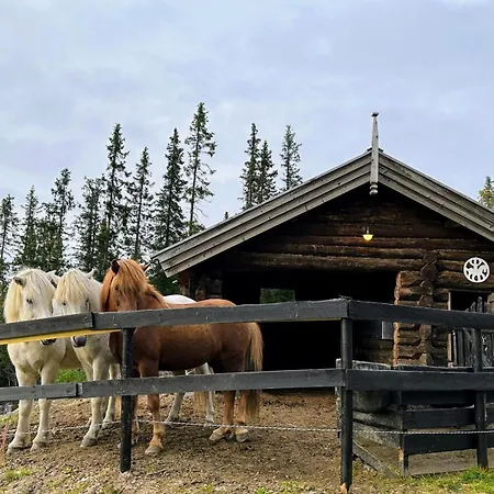 Hébergement de vacances Liaplassen Mountain Beitostolen