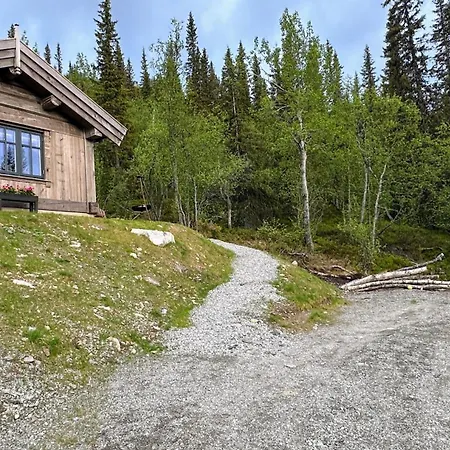 Liaplassen Mountain * Beitostolen